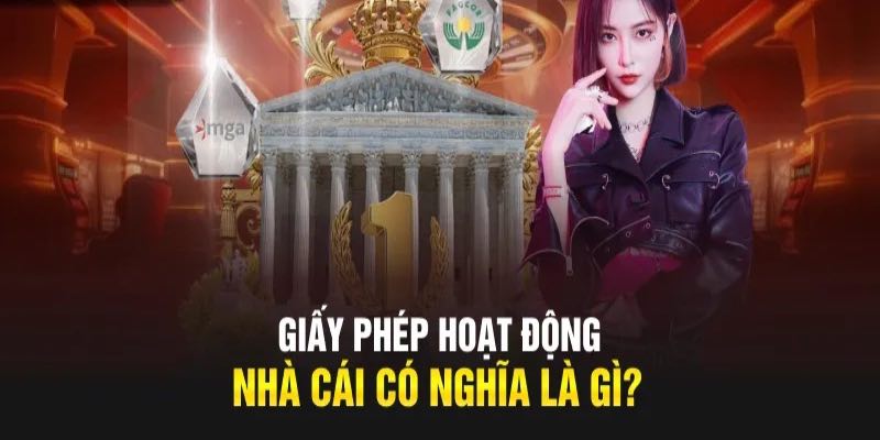 Vai Trò Của Giấy Phép Hoạt Động HF888